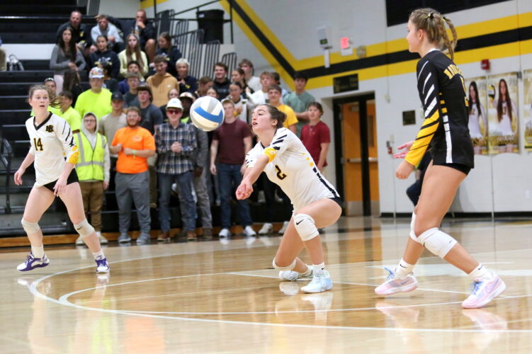 Mountaineers vs. Hematites